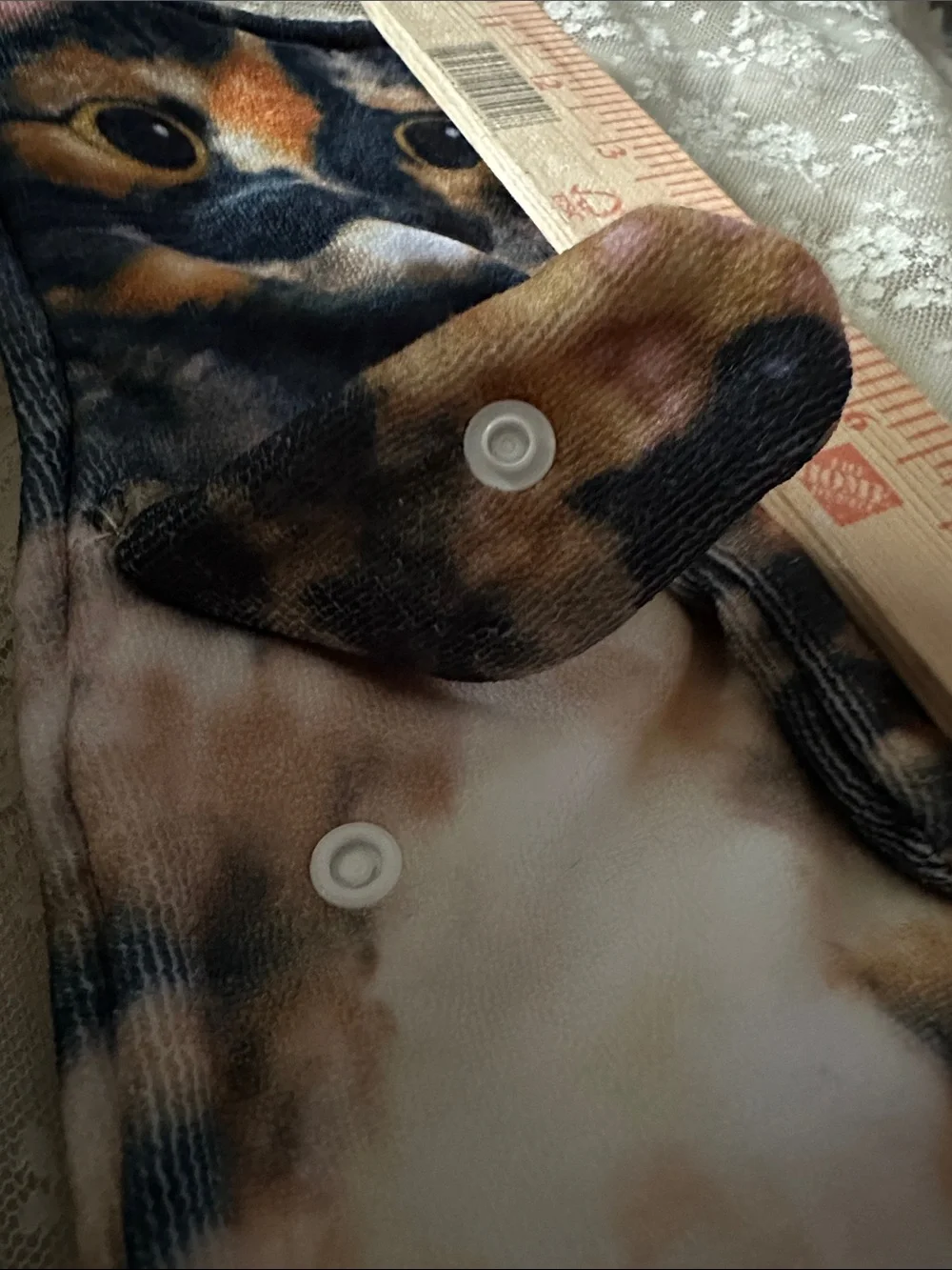 Cat funny hand towel pre owned